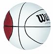 Wilson Autograph Mini Basketball Boxed WTB0503