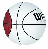 Wilson Mini Autograph Basketball