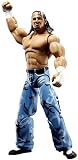 WWE Wrestling DELUXE Aggression Series 10 Action Figure Matt Hardy with Ladder
