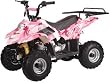 Kids 110cc ATV w/ Automatic Trans.,Foot Brake, and Remote Shutoff