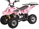 Kids 110cc ATV w/ Automatic Trans.,Foot Brake, and Remote Shutoff
