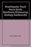 Fossil focus : brachiopods