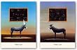 Smart Ass and Dumb Ass Set by Robert Deyber 18"x21" Art Print Poster