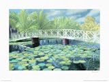 Across The Pond By Ron Carter. ART PRINT ON CANVAS with 1 1/2 inch deep bars. Size: 20 x 26 Inches