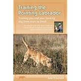 Training the Pointing Labrador: Your Guide to Training the Retriever As a Finished Upland and Waterfowl Dog