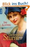 Dezembersturm: Roman