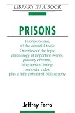 Prisons (Library in a Book)
