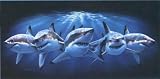 Shark Beach Towel