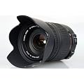 Sigma 883546 Objectif 18-250 mm F3,5-6,3 DC Macro OS HSM pour Canon
