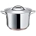Raymond Blanc by Anolon Stainless Steel Tapered Covered Stockpot, 26 cm, 7.6 Litre