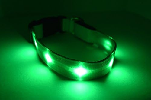 LED Dog Collar - USB Rechargeable - Light up in various sizes and colors (green, large)