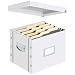 Snap-N-Store Letter Size File Box 9.5 x 11.75 x 9.75 Inches, White (SNS01816)