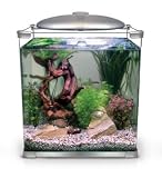 Arcadia Arc Tank, Aquarium inkl. Elipse und Filter, 45l