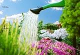 'Gardening - Flower Moulding' Wall Decal - 18