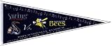 Swing of the Quad Cities vs Burlington Bees Pennant - Opening Night of John O' Donnell Stadium