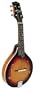 Gold Tone GM-6 Octave Mandolin (Maple)