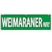 Imagine This Weimaraner Street Sign