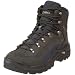Lowa Men's Renegade GTX Mid Wide Hiking Boot