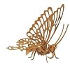 Butterfly Woodkit