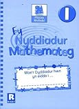 Ffocws rhifedd 1: fy nyddiadur mathemateg