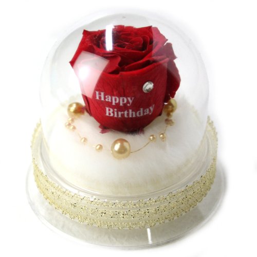 メッセージローズ (Preserved Rose) ローズドーム S1~情熱のラブジャック アトミック~レッド 【バースデイストーン☆4月】【Happy Birthday】 22231