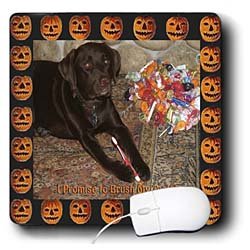 Sandy Mertens Halloween Designs - Brown Labrador Wants Treats - Mouse Pads