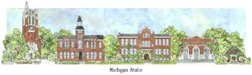 Michigan State University - Collegiate Scenes - 9 x 18 Inch - Framed Paintings