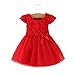 Wennikids Baby-Girls Red Rose Flower Christening Birthday Party Dress 6-9M