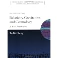 Relativity, Gravitation and Cosmology: A Basic Introduction (Oxford Master Series in Physics)