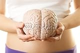 Wallmonkeys Peel and Stick Wall Decals – Woman Holding a Human Brain Model against White Background – 36″W x 24″H Removable Graphic
