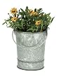 Flower Pail