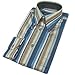 Forzieri Blue and Brown Striped Button Down Dress Shirt