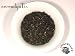 Assam (Single Estate Indian Tea) ~ 4 oz. box ~ SerendipiTea