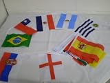 World Cup 2010 Polyester Flag Bunting