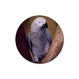 African Grey Parrot Rubber Round Coaster (4 pack)