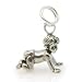 Sterling Silver RENESME Charm