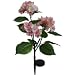 Solar Pink Hydrangea Flower Lights , Solar Powered Garden Outdoor Decorative Landscape LED Hydrangea Lights Year-round, Great Gift