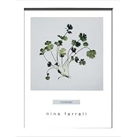 《アートフレーム》Nina Farrell Coriander(ニーナ ファレル コリアンダー)