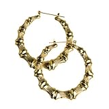 Fly Girl Womens Halloween Earrings