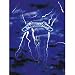 Search : Metallica - Poster Flags