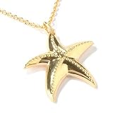 Stainless Steel or 18K YG Plated Starfish Pendant w/ 18 YG Plated Chain
