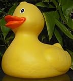 Enlarge toy image: Giant Rubber Duck Bath Toy -  preschool activity for young kids
