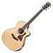 Taylor�@114CE�@�A�R�[�X�e�B�b�N�M�^�[