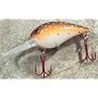 JLVLures Shallow Crankbait Brown Trout : Diver Lures JLV Freshwater Smallmouth Steelhead Pike Salmon Trout Perch Whiper Mid Depth Walleye Casting Bass Hook Treble Red Boat Dock Brook Bay Fatty Stump River Trolling Weed Surface Topwater Shad