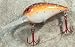 JLVLures Shallow Crankbait Brown Trout : Diver Lures JLV Freshwater Smallmouth Steelhead Pike Salmon Trout Perch Whiper Mid Depth Walleye Casting Bass Hook Treble Red Boat Dock Brook Bay Fatty Stump River Trolling Weed Surface Topwater Shad