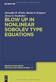 Cover for 9783110255270