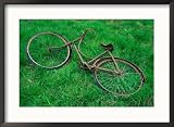 Bicycle Abandoned in a Field,County Wexford, Leinster, Ireland Framed Photographic Poster Print by Richard Cummins, 29x21