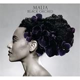 Image of Black Orchid (Limited Edition)