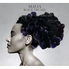 Black Orchid