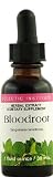 Bloodroot 1 OZ Eclectic Institute Inc.